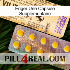 Ériger Une Capsule Supplémentaire new06